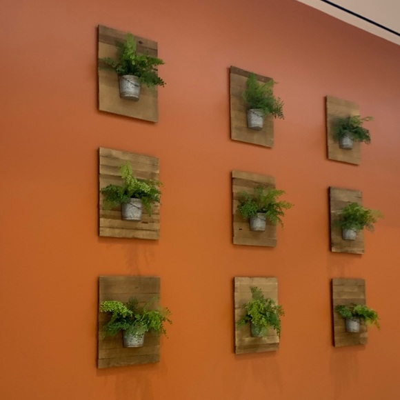 Meet your Posher, Bella - Picture 1 of 1